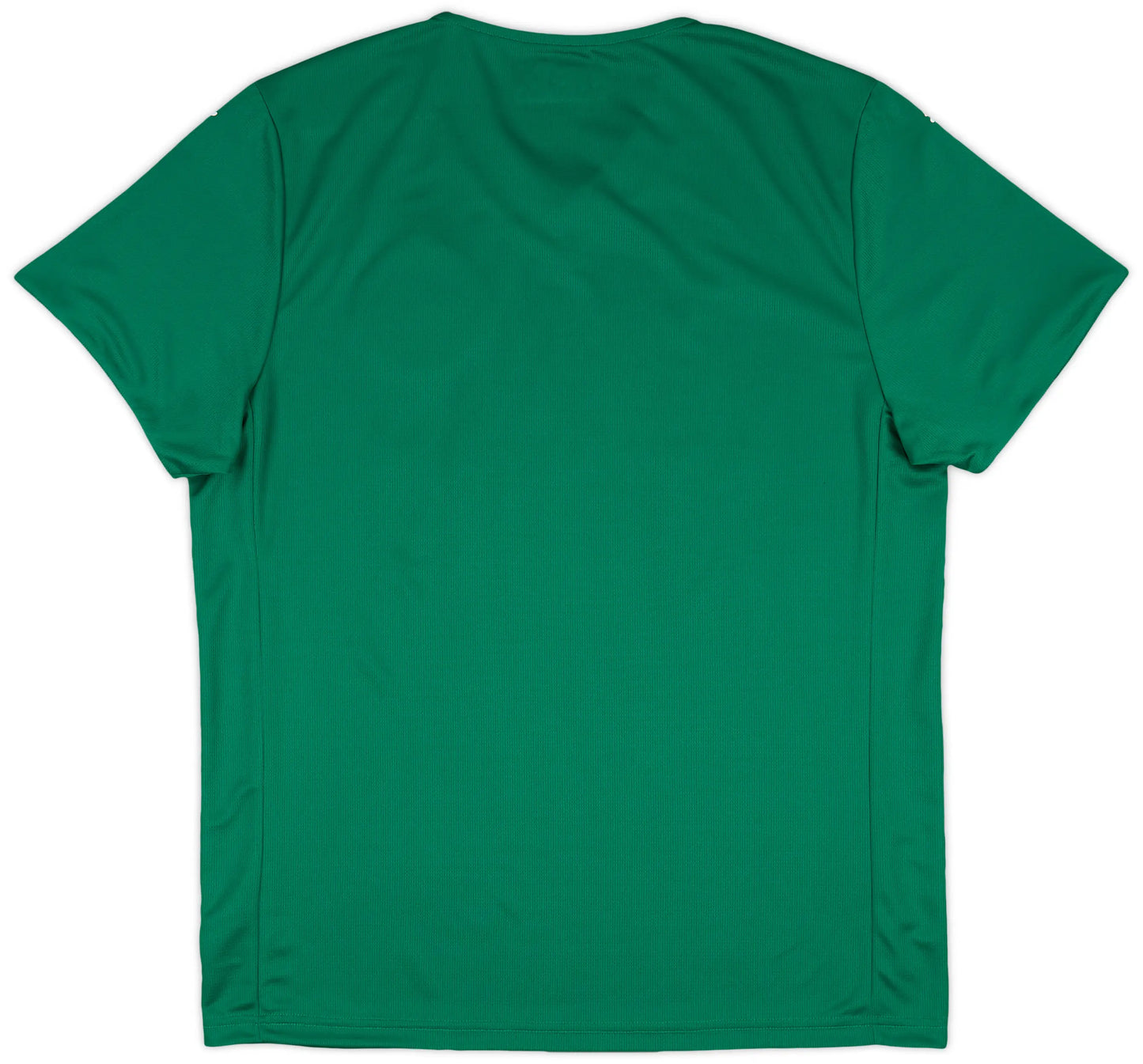 Palmeiras 2025/26 Home Jersey