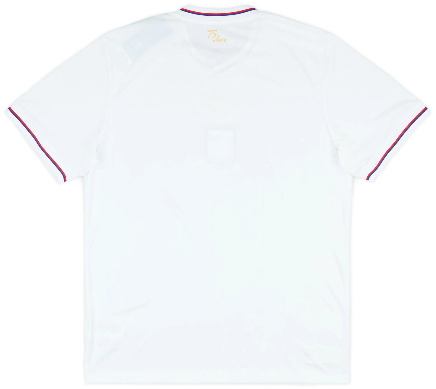 Lyon 2024/25 75th Anniversary Jersey