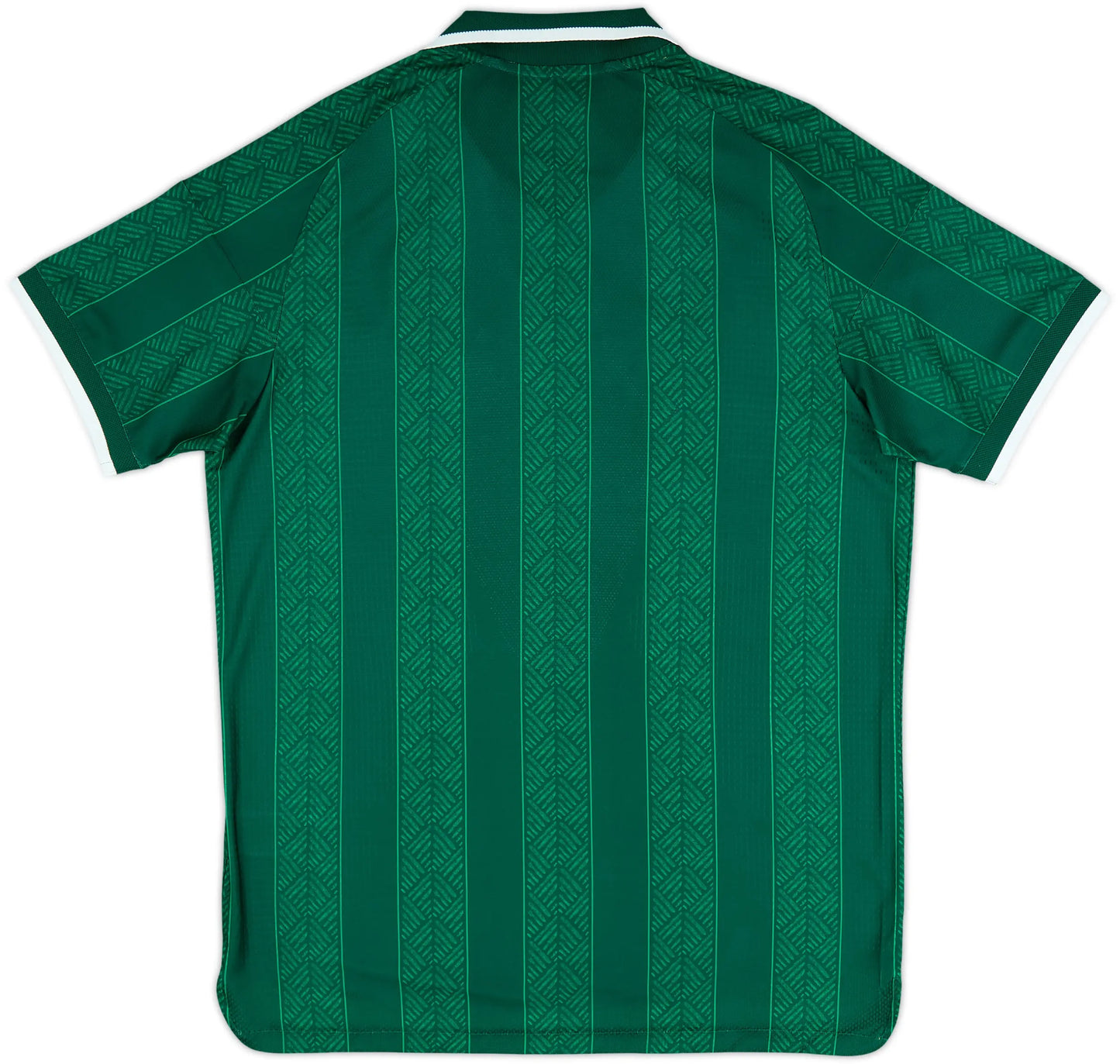 2026 Bafana Away Player Version (tight fit)