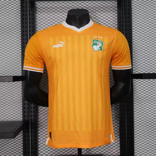 Ivory Coast 2023-24 Home Player Version Jersey