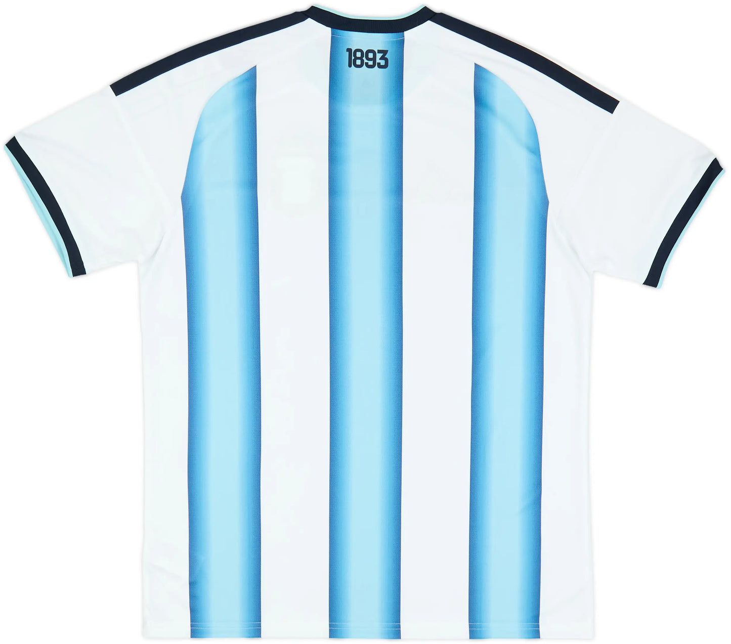Argentina 2026/27 Home Fan Version